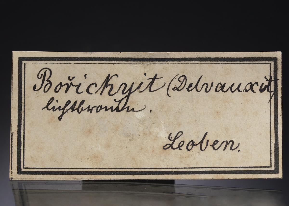 CC28603 specimen image