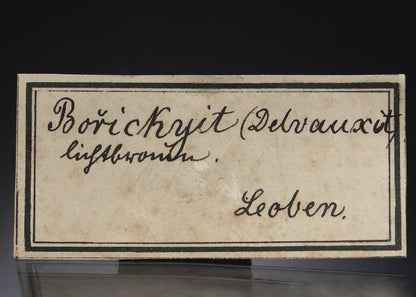 CC28603 specimen image