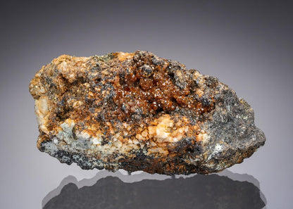 CC28607 specimen image