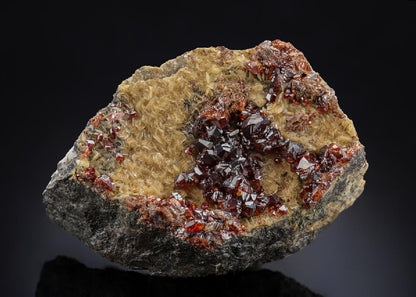 CC28631 specimen image