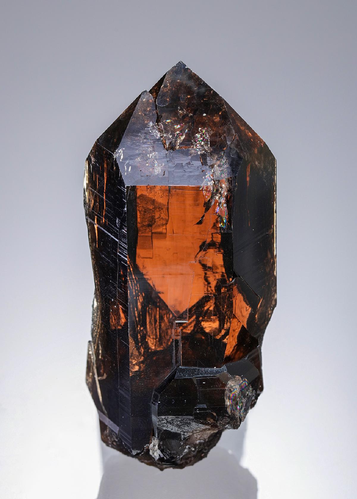 CC28635 specimen image