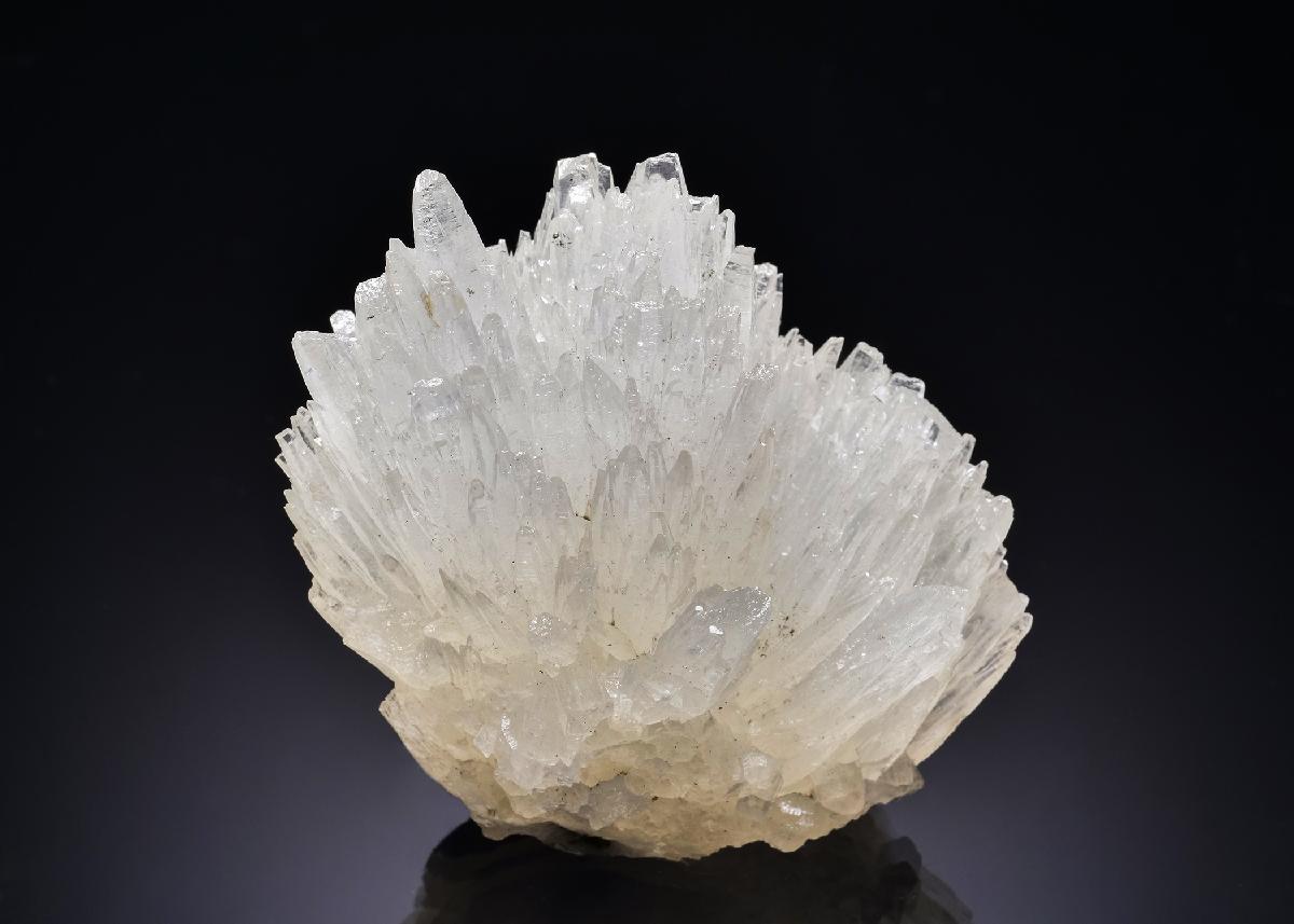 CC28641 specimen image