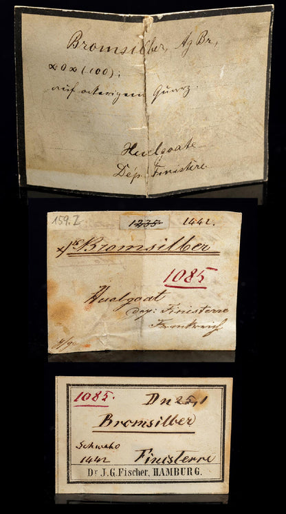 CC28643 specimen image