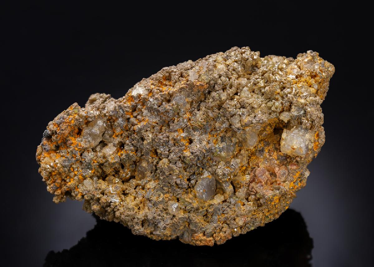 CC28645 specimen image