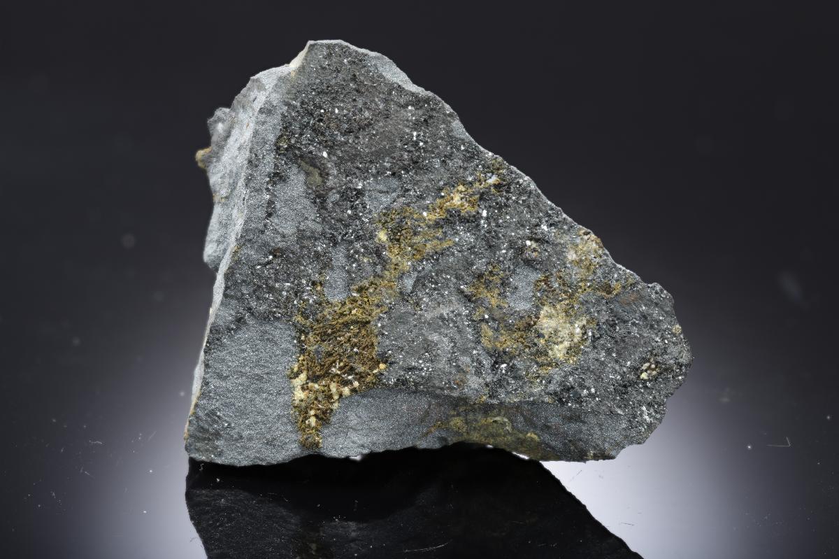 CC28653 specimen image