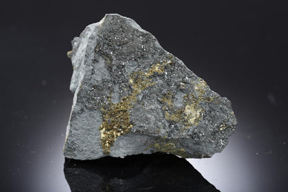 CC28653 specimen image
