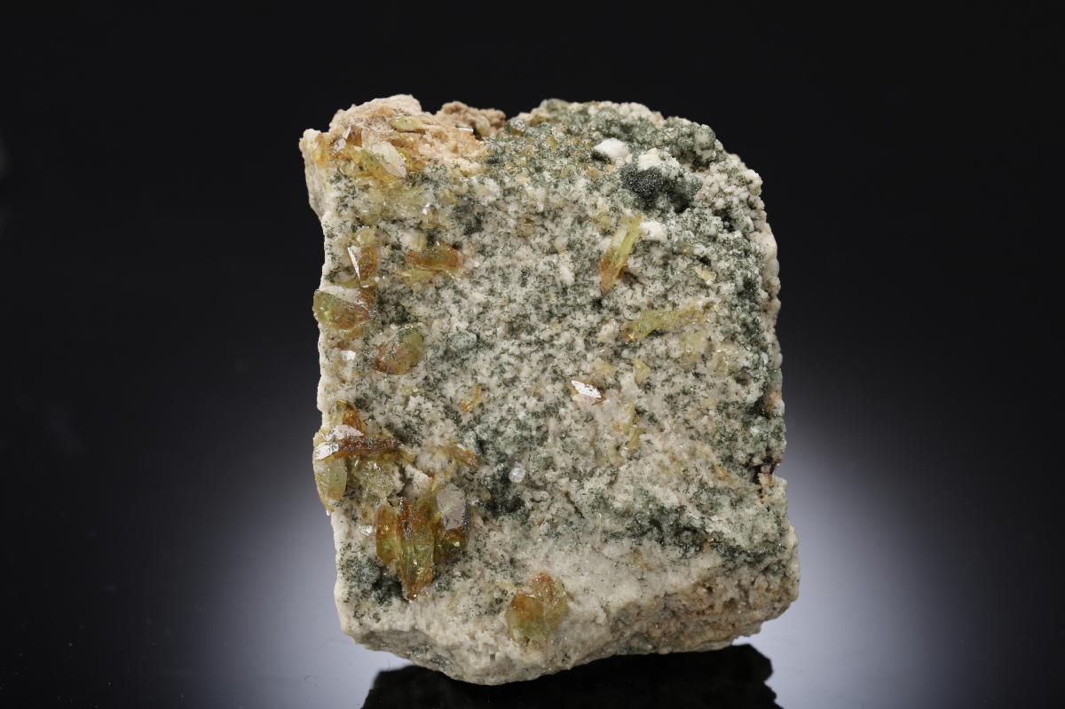 CC28661 specimen image
