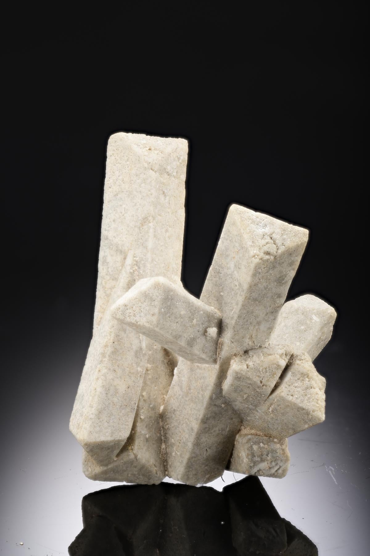 CC28673 specimen image