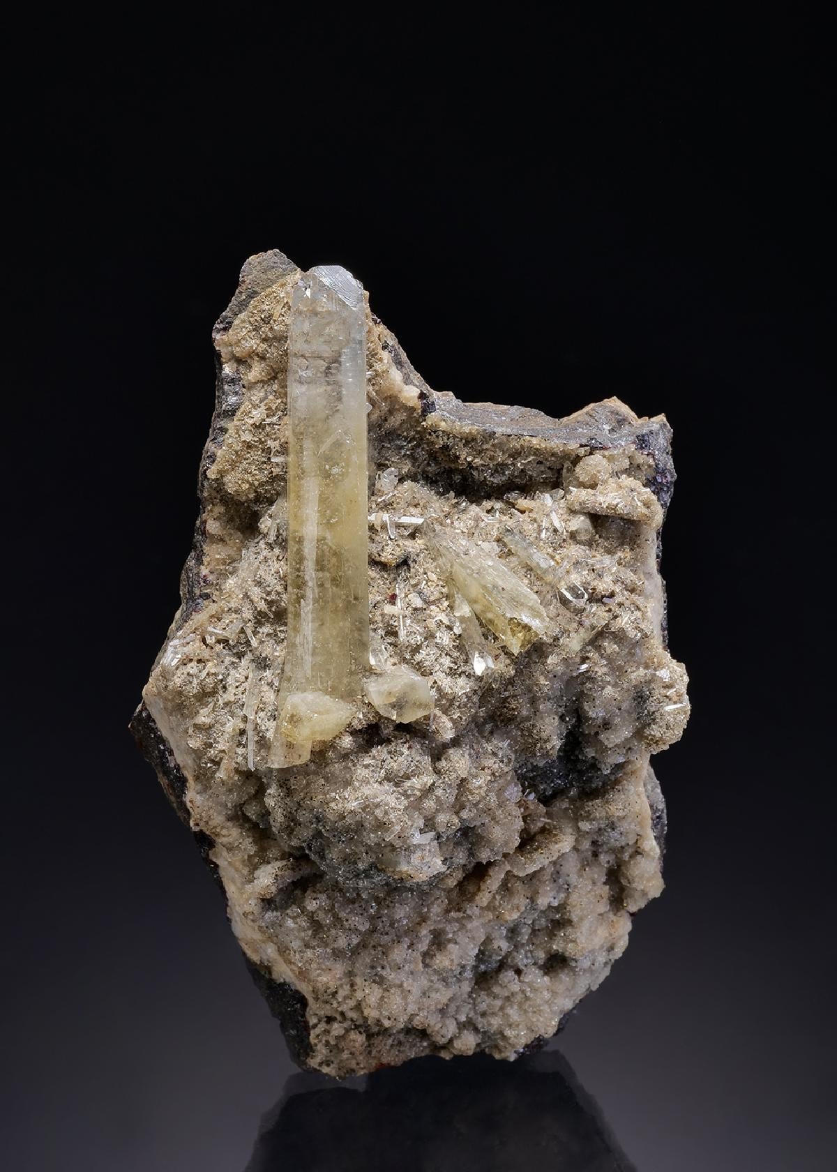 CC28677 specimen image