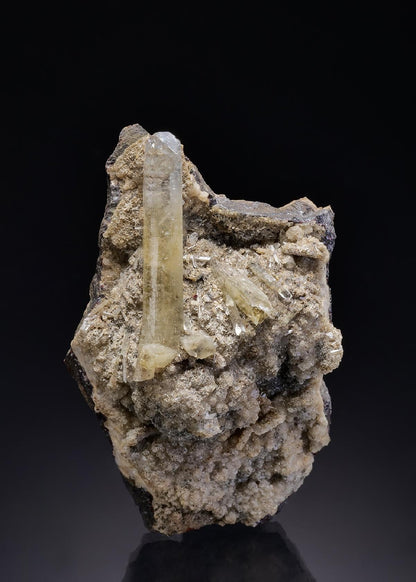 CC28677 specimen image