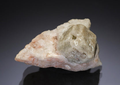 CC28687 specimen image