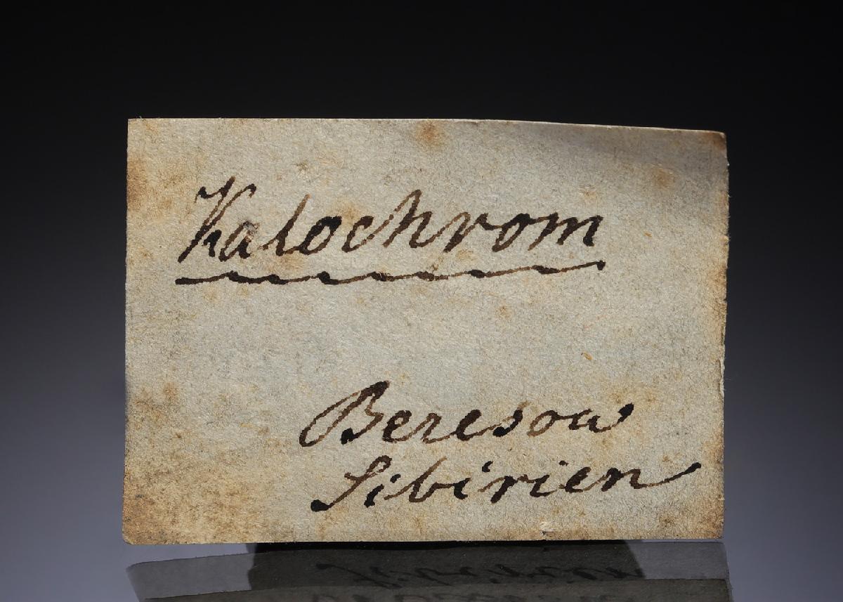 CC28691 specimen image