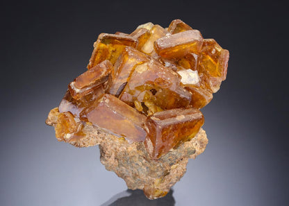 CC28705 specimen image
