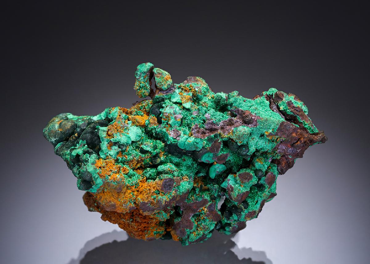 CC28715 specimen image