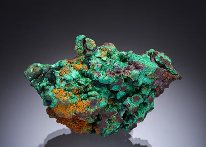 CC28715 specimen image