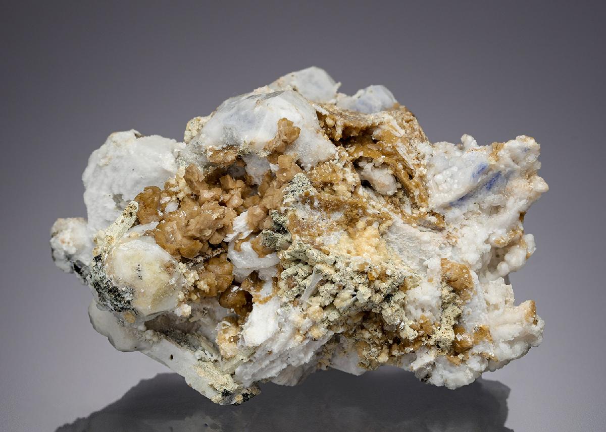 CC28727 specimen image