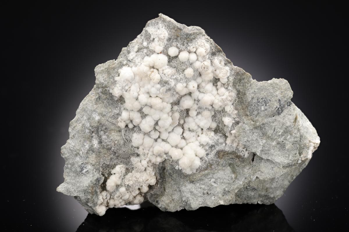 CC28741 specimen image