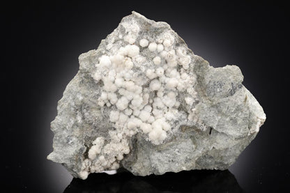 CC28741 specimen image