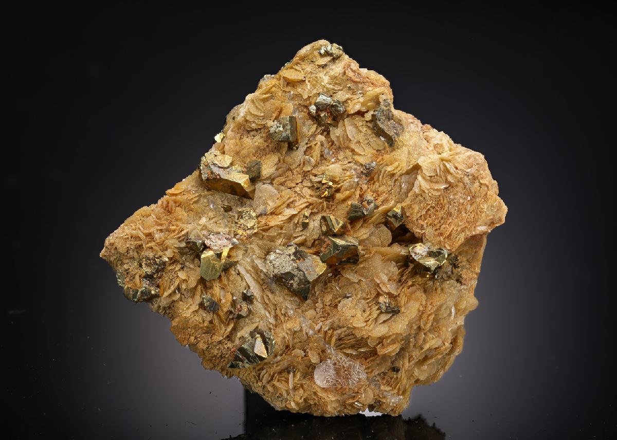 CC28743 specimen image