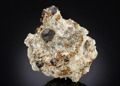 CC28749 specimen image