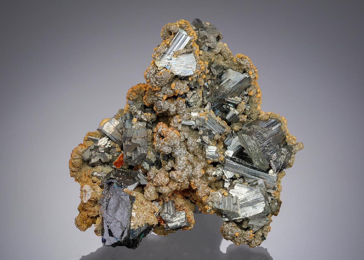 CC28753 specimen image