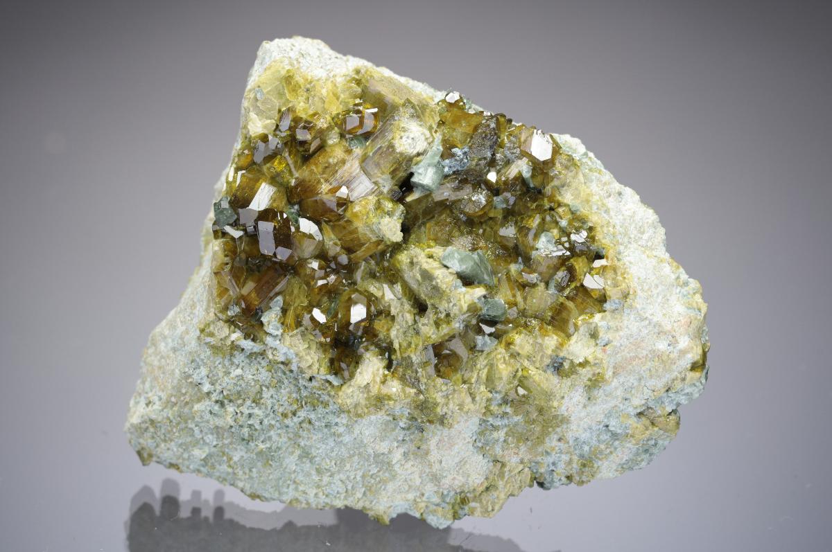 CC28759 specimen image