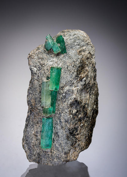CC28761 specimen image