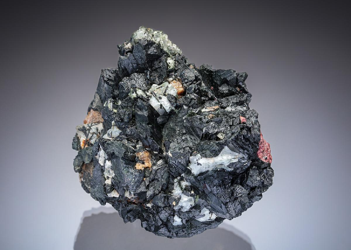 CC28765 specimen image