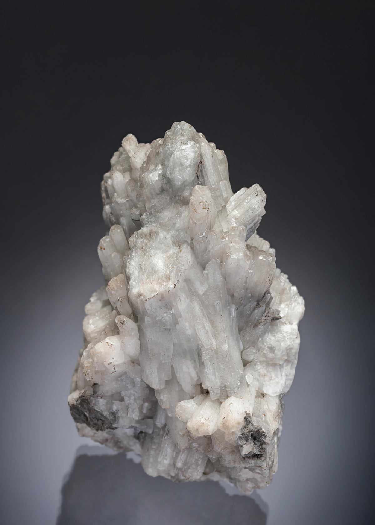 CC28771 specimen image