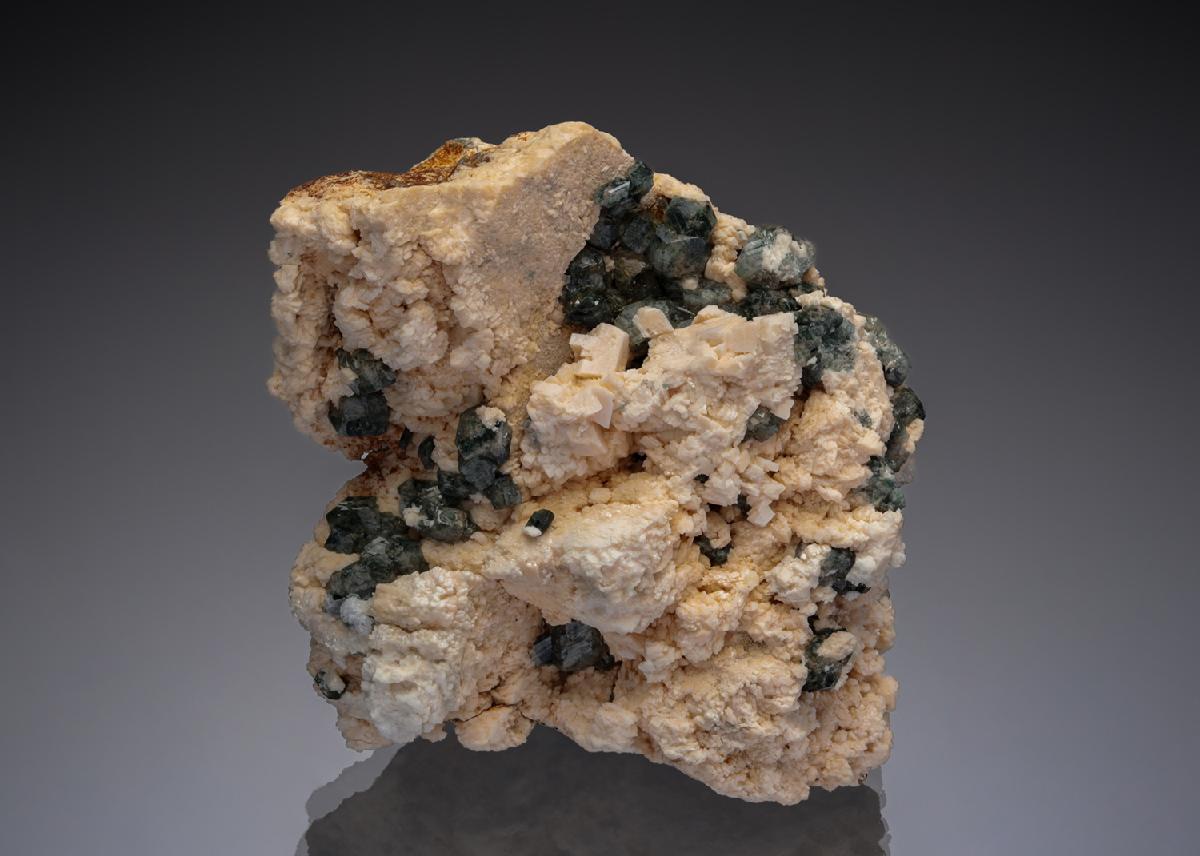 CC28773 specimen image