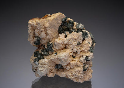 CC28773 specimen image