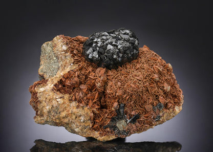 CC28783 specimen image