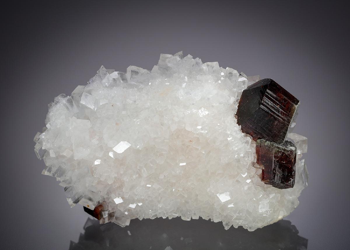 CC28797 specimen image