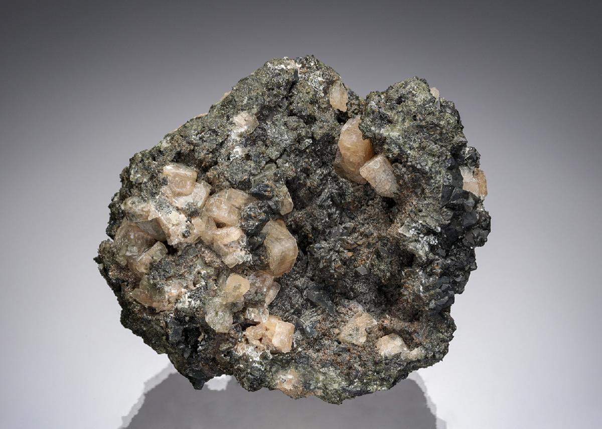 CC28805 specimen image