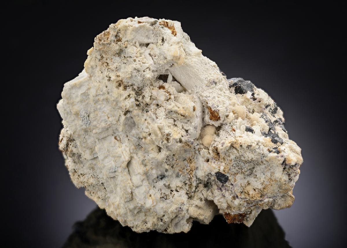 CC28807 specimen image