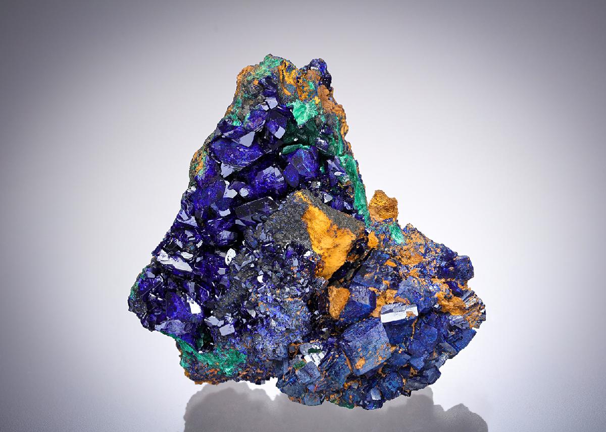 CC28811 specimen image