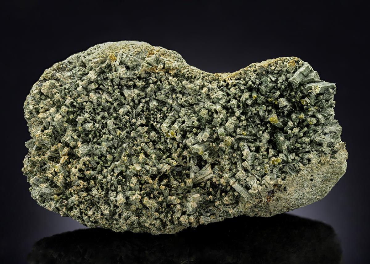 CC28815 specimen image