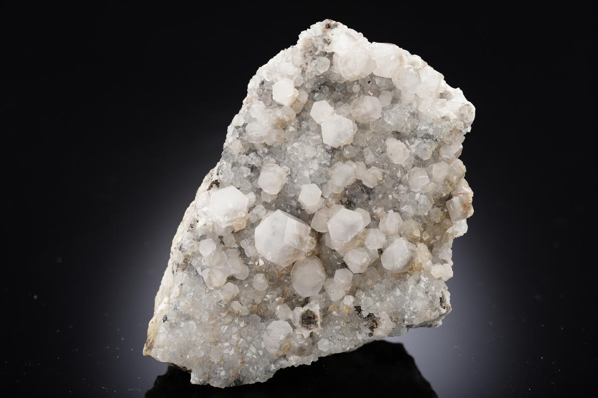 CC28817 specimen image