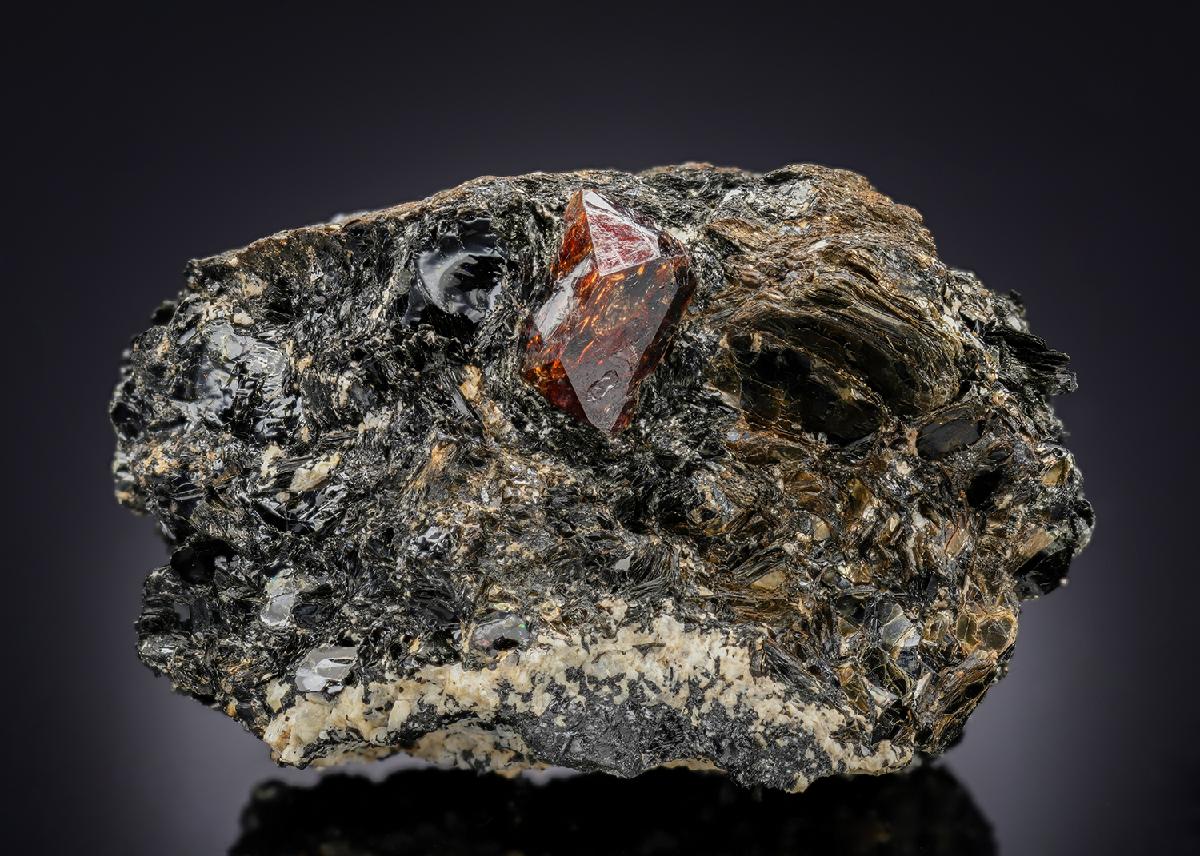 CC28837 specimen image