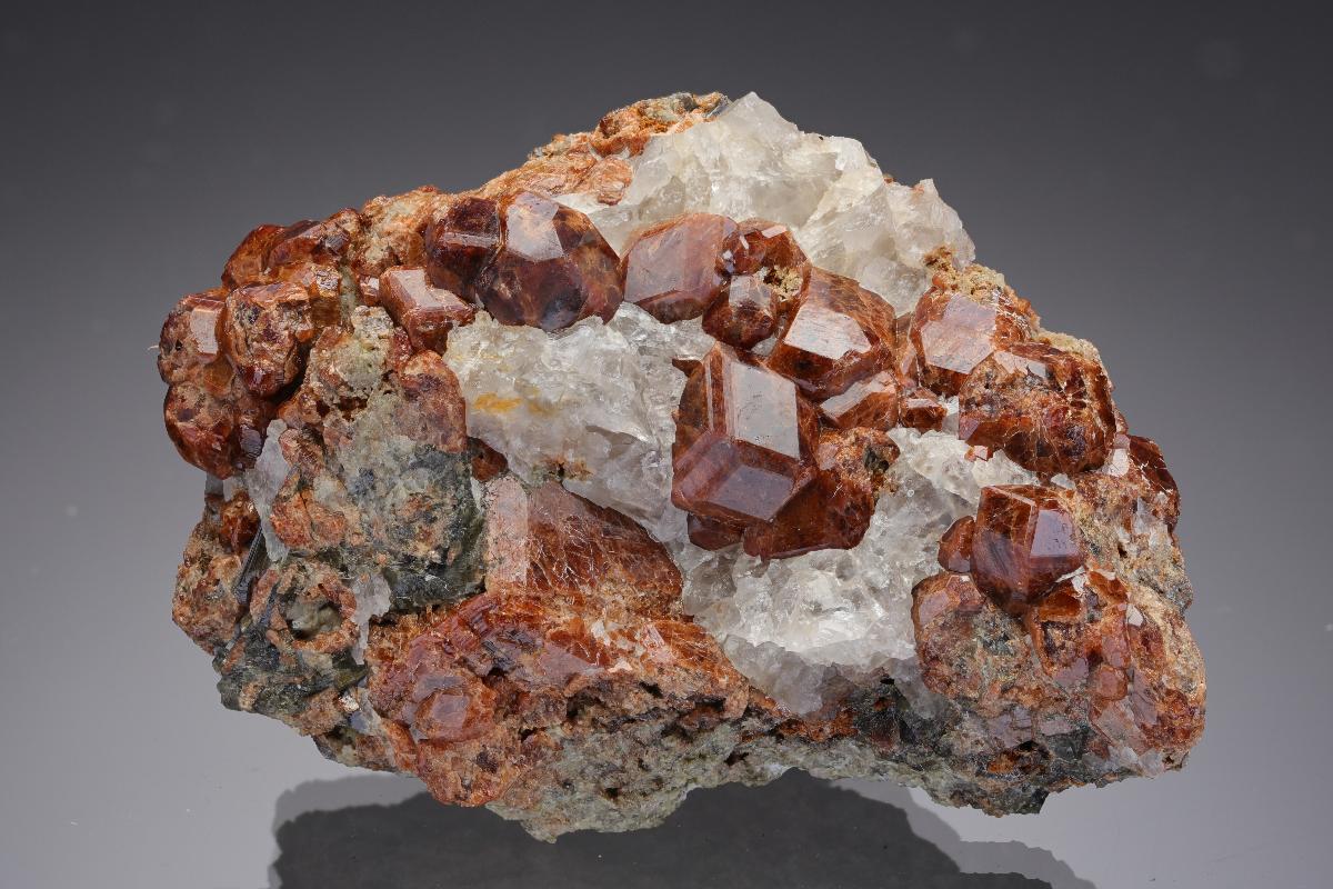 CC28841 specimen image