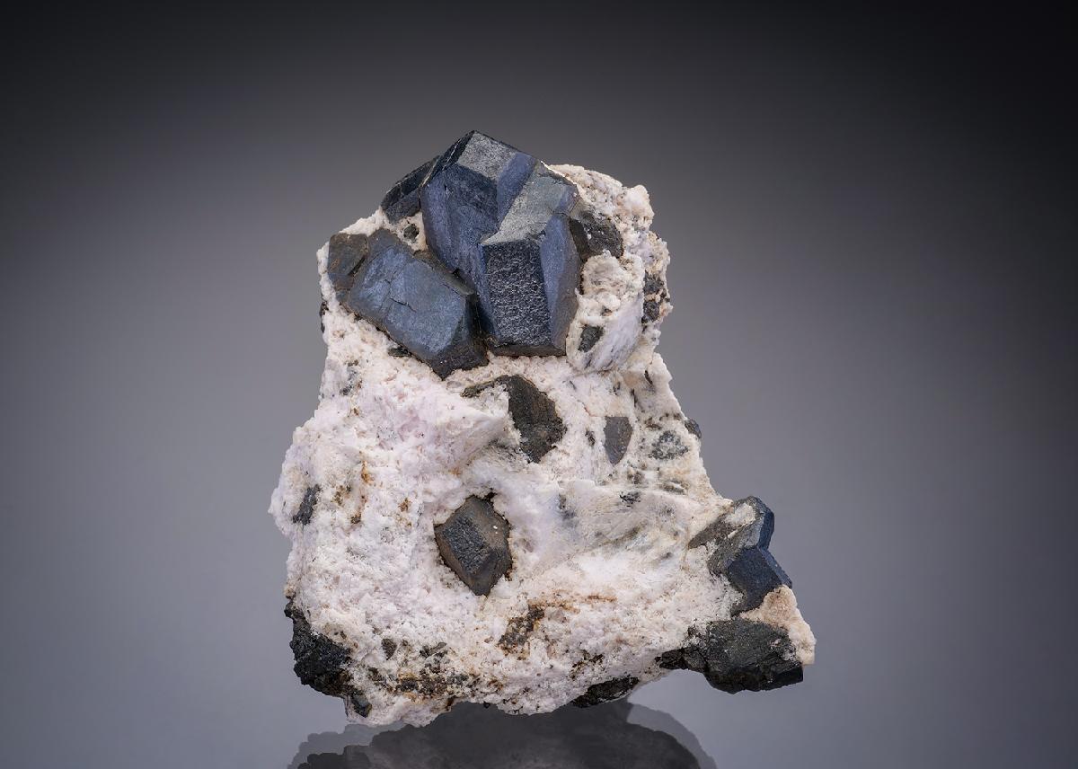 CC28843 specimen image