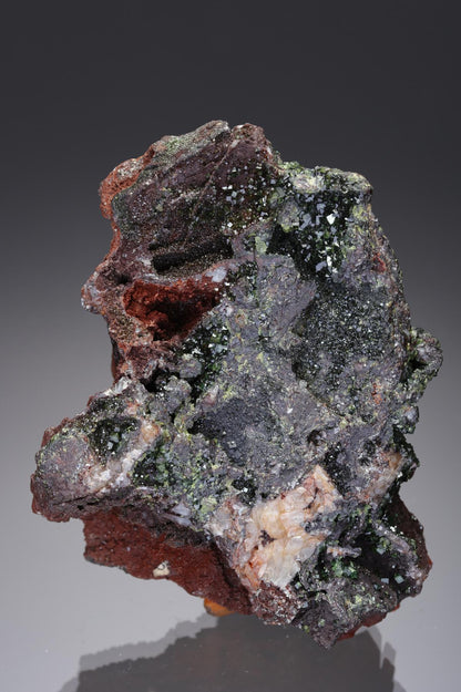 CC28851 specimen image