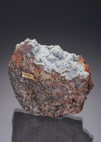 CC28853 specimen image