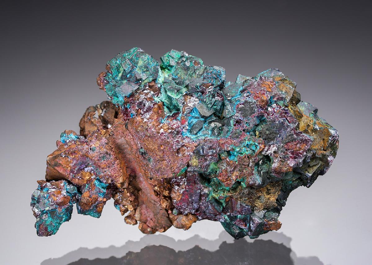 CC28871 specimen image