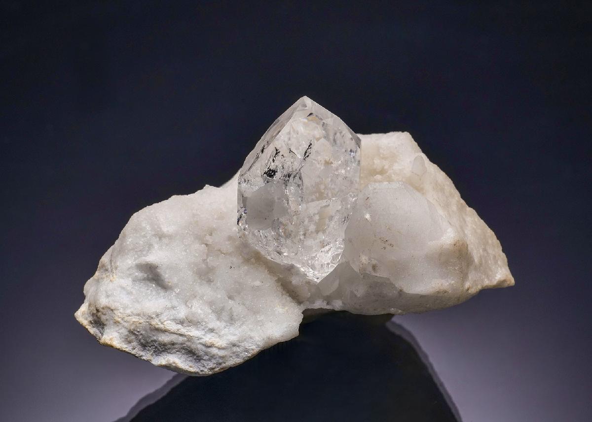 CC28881 specimen image
