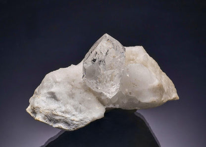 CC28881 specimen image