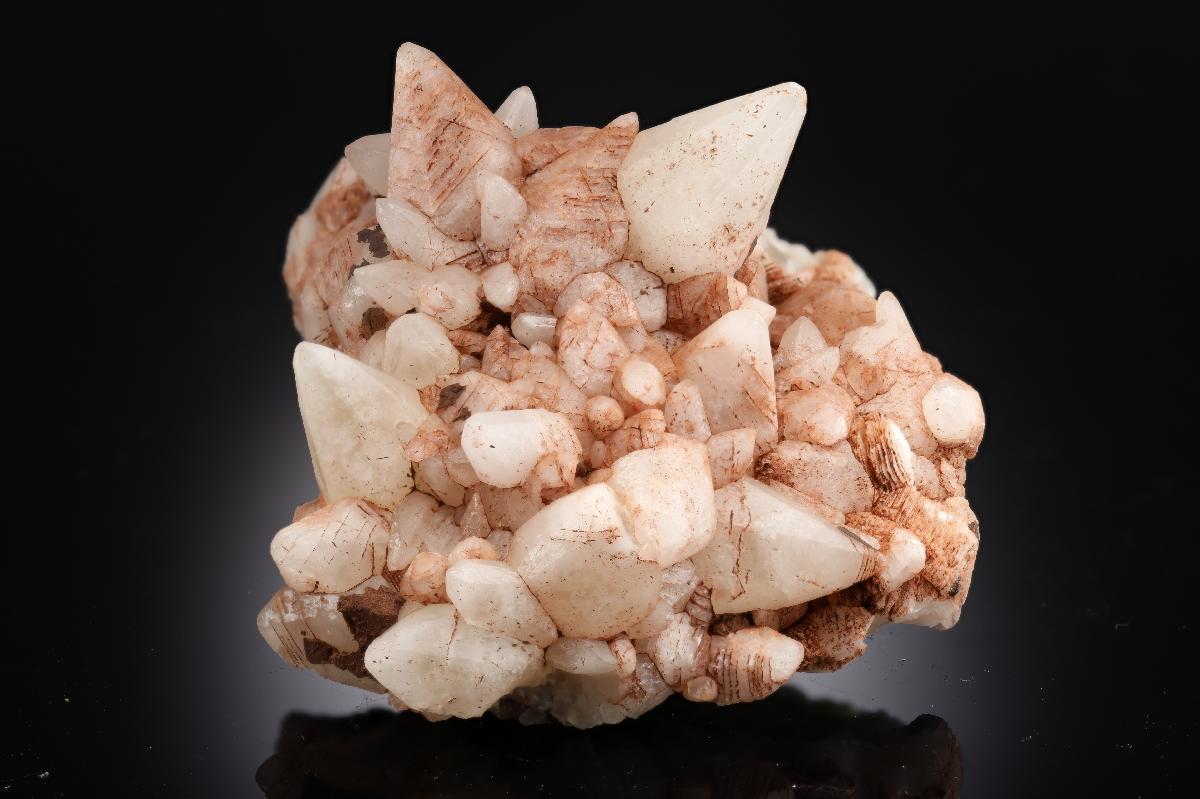 CC28885 specimen image
