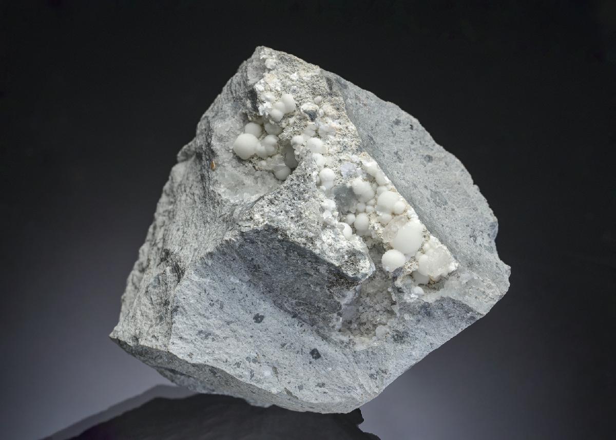 CC28897 specimen image