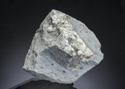 CC28897 specimen image