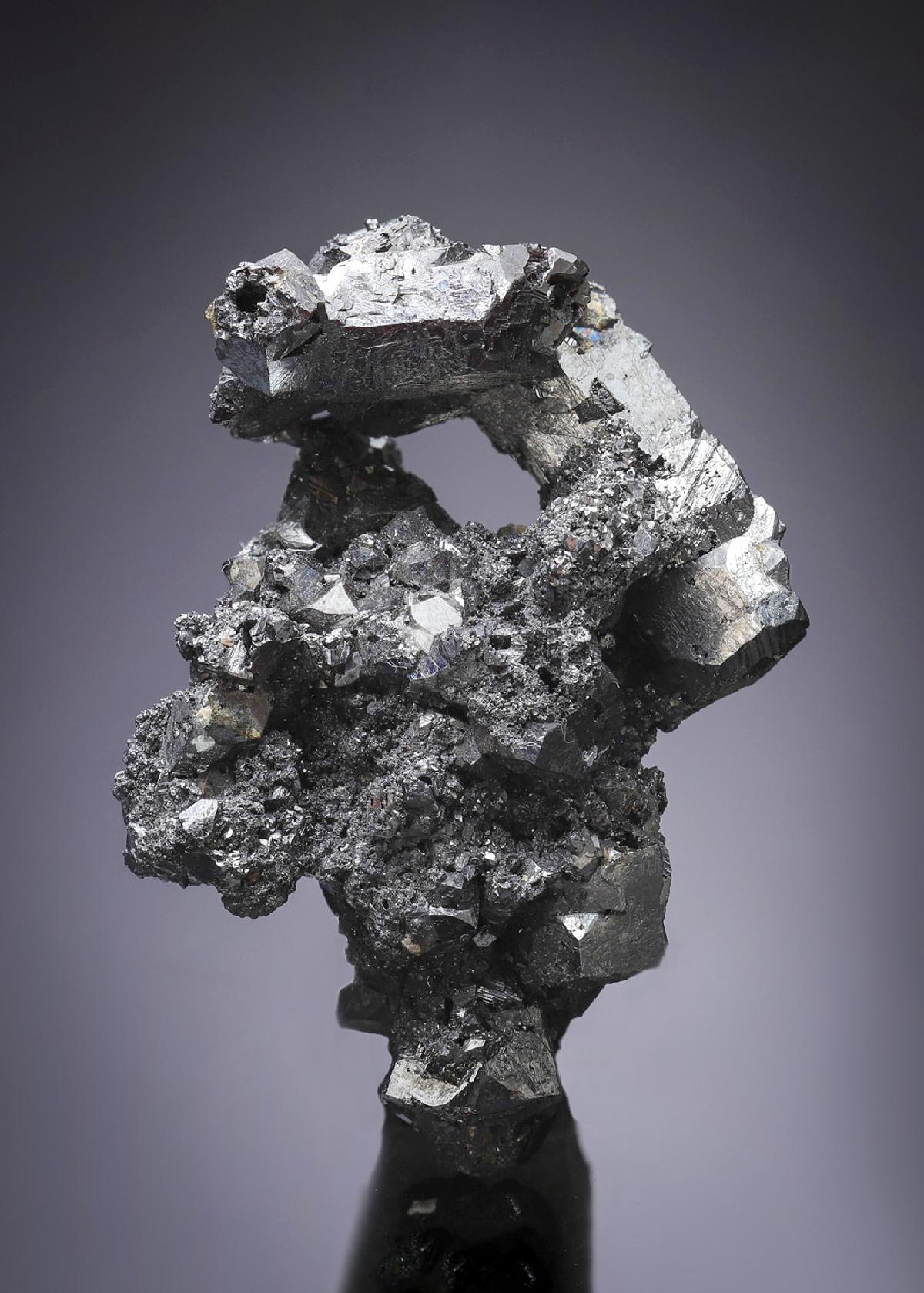 CC2890 specimen image